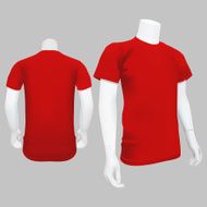Red T-Shirt Template - Vector Illustration