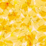 Transparent Autumn Leaves plus EPS10 N14