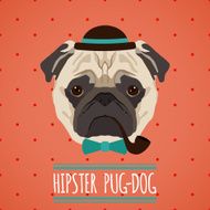 Hipster dog portrait