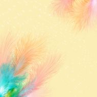 Abstract feathers N4