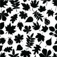 Floral Pattern N456