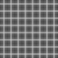 Checked seamless pattern N45