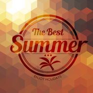the best summer label with coconut tree on geometry background