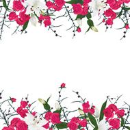 Floral ornament horizontal vector frame N2