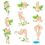 Healthy legs set Vector