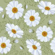 Floral seamless pattern - daisy N5