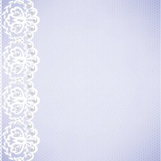 lace fabric background N40
