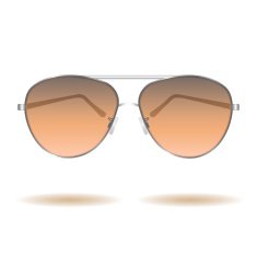 Sunglasses vector illustration N3