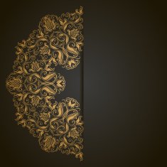 Elegant background with lace ornament N15