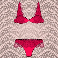 Hand drawn vector sexy lingerie set N17