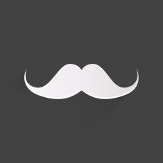 Hipster moustaches icon N9