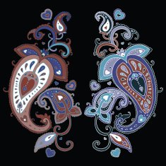 Hand Drawn Paisley ornament N15