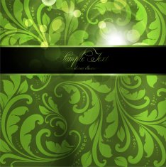 Floral Retro Background for Vintage Design N519