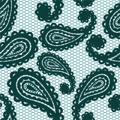 Lace seamless pattern with paisley N6