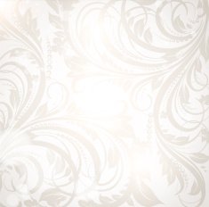Floral Retro Background for Vintage Design N1007