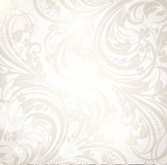 Floral Retro Background for Vintage Design N1039