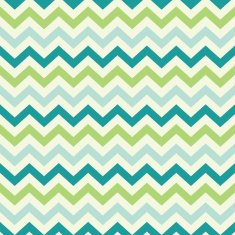 Vintage Popular Zigzag Chevron Pattern N14