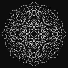 Vintage leaf black ornament background N2