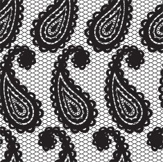 Lace seamless pattern with paisley N7