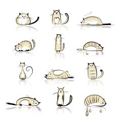 Funny cats collection for your design