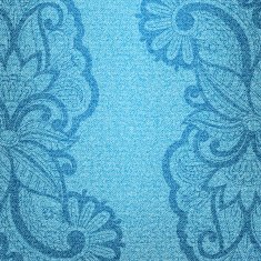 Vector jeans background N5