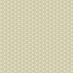 Vintage shabby background with classy patterns N961