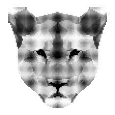 abstract monochrome lion portrait of circles isolated on white background