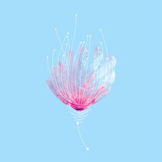 Abstract flower N8