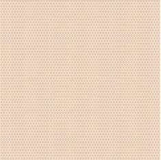 Lace pattern vector