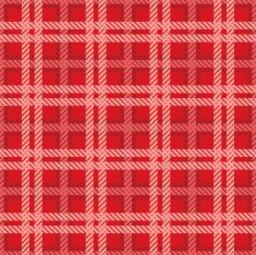 Seamless texture of cotton fabric with plaid N2