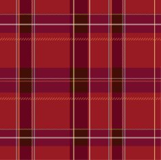 Plaid Pattern Illustration N5