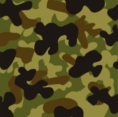 Camouflage design N5
