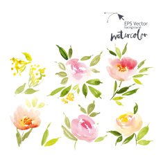 Watercolor cet N3