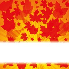 Autumn abstract background with leaf N26