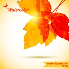 Autumn composition with yellow and red leaves N6
