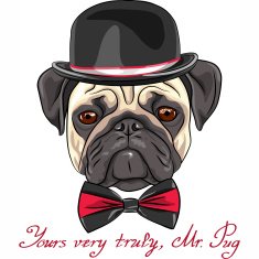 vector sketch hipster dog pug breed