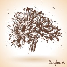 Sunflower in vintage style