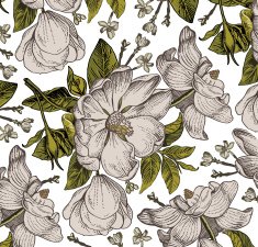 Flowers Vector Beautiful background with a flower ornament Bouquets from flowers N2