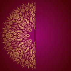 Elegant background with lace ornament N16