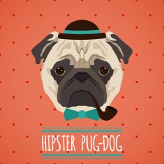 Hipster dog portrait