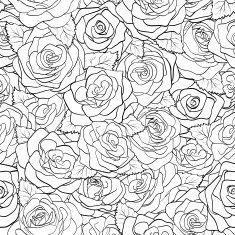 beautiful black and white seamless pattern in roses with contours N3