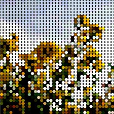 abstract colorful polka dots style floral pattern background