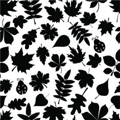 Floral Pattern N456