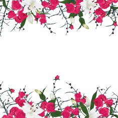 Floral ornament horizontal vector frame N2