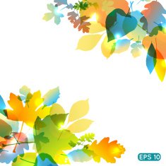 Abstract colorful leafs vector background