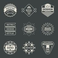 Retro design insignias logotypes set 9 Vector vintage elements
