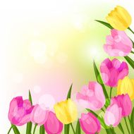 Spring flowers tulips natural background N2