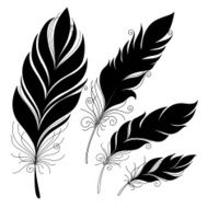 Vector Peerless Decorative Feather N21