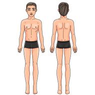 Male body front and back European man