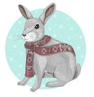 Cute rabbit with scarf winter background N2